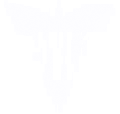Logo NoyceTM